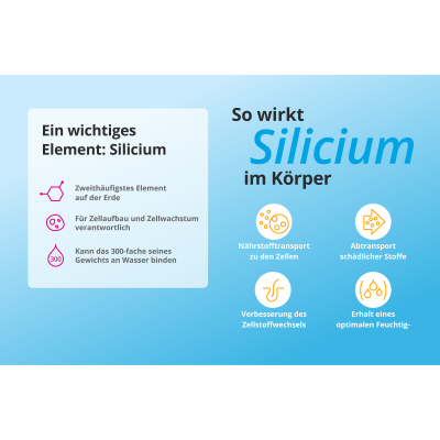 silicea Infografik Silicium 02